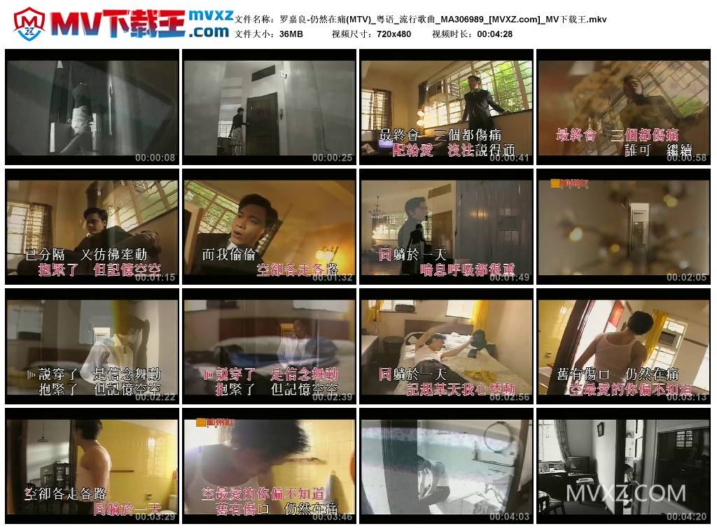 罗嘉良-仍然在痛(MTV)_粤语_流行歌曲_MA306989